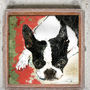 Signed Print / 'The Boston Terrier', thumbnail 1 of 2