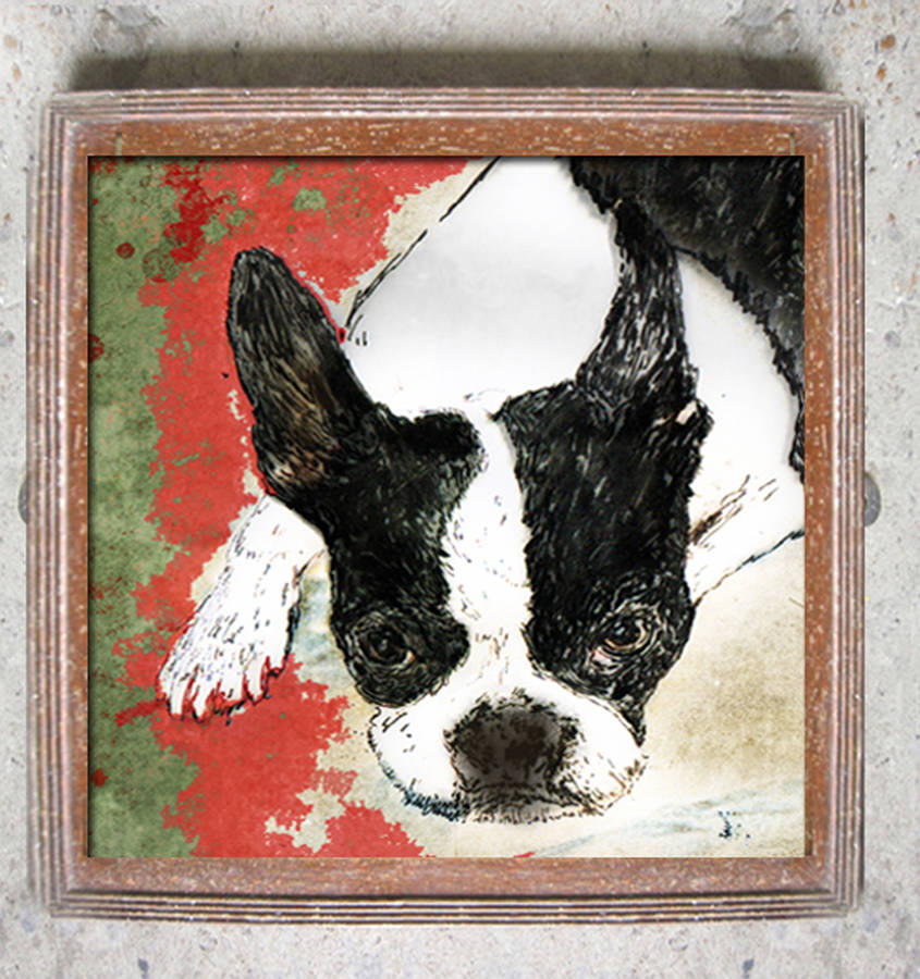 Boston Terrier Limited Edition Signed Print, 1 of 2