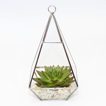 Pyramid Shaped Glass Vase Succulent Terrarium, 4 of 6