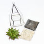 Pyramid Shaped Glass Vase Succulent Terrarium, thumbnail 6 of 6