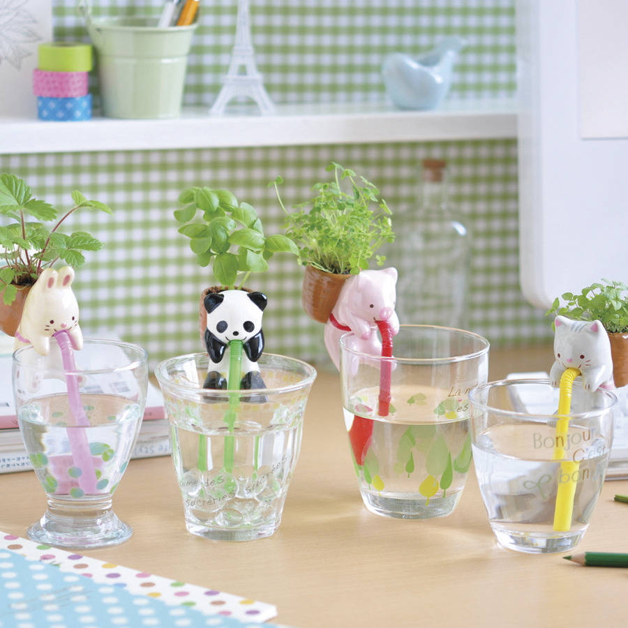 self watering animal plant kit by frolic and cheer