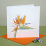 'Bird Of Paradise' Tropical Flower Card, thumbnail 3 of 5