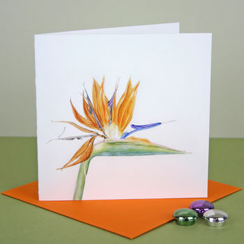 'Bird Of Paradise' Tropical Flower Card, 3 of 5