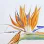 'Bird Of Paradise' Tropical Flower Card, thumbnail 4 of 5