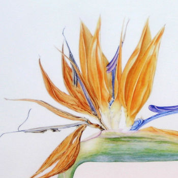 'Bird Of Paradise' Tropical Flower Card, 4 of 5