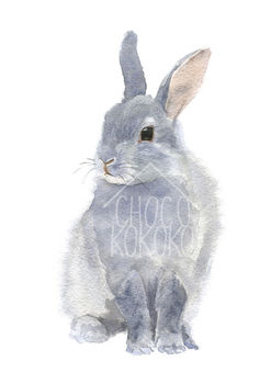 Bunny Fine Art Print, 2 of 2