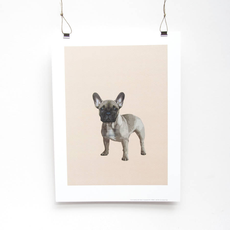 french bulldog print by saskia frost | notonthehighstreet.com