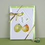 Pack Of Six ' Syston White Plum ' Cards, thumbnail 6 of 6