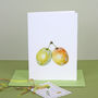 Pack Of Six ' Syston White Plum ' Cards, thumbnail 5 of 6