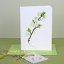 Pack Of Six ' Syston White Plum ' Cards, thumbnail 4 of 6