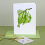 Pack Of Six ' Syston White Plum ' Cards, thumbnail 3 of 6
