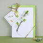 Pack Of Six ' Syston White Plum ' Cards, thumbnail 2 of 6