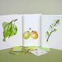 Pack Of Six ' Syston White Plum ' Cards, thumbnail 1 of 6