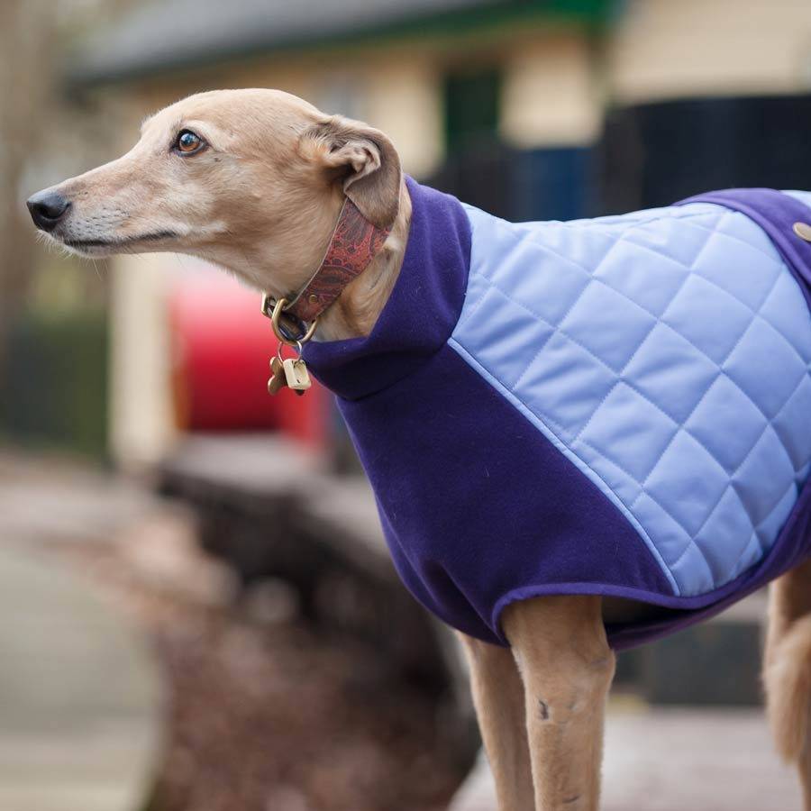 Dog Coat Fleece Lined By Redhound for Dogs