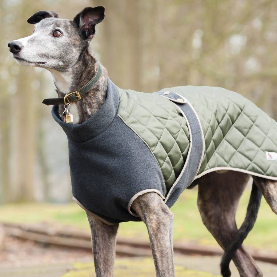 dog coat fleece lined by redhound for dogs | notonthehighstreet.com