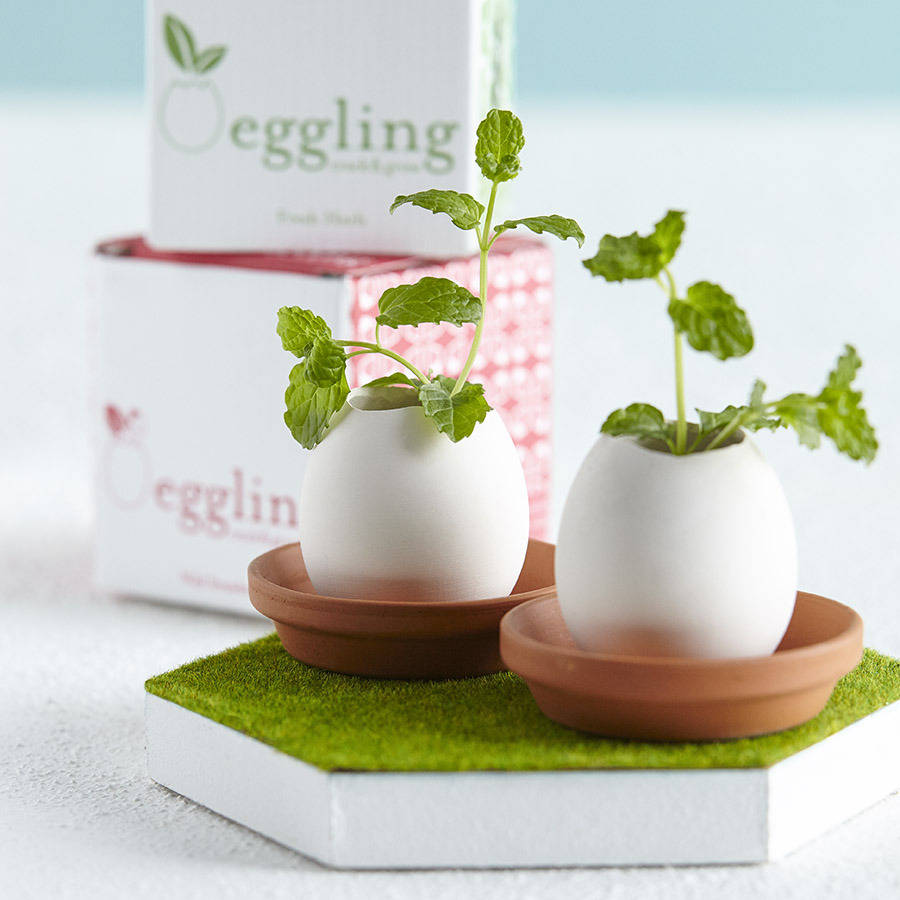 Grow Your Own Mini Garden Egg Kit, 1 of 10