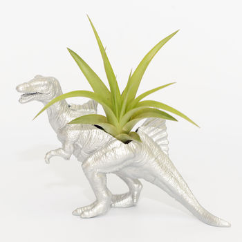 Spinosaurus Dinosaur Planter With Plant, 4 of 7