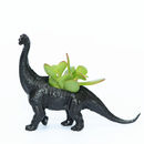 brachiosaurus plant eater