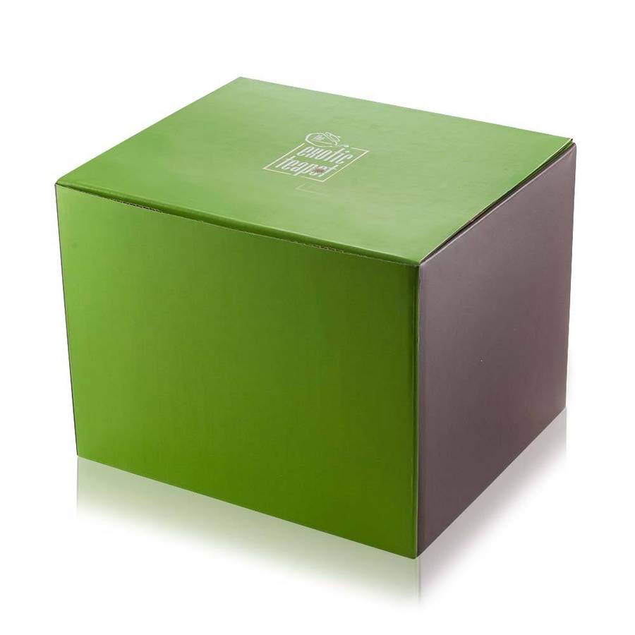 cooltouch double wall glass teapot by the exotic teapot