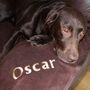 Personalised Embroidered Pet Blanket, thumbnail 2 of 12