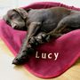 Personalised Embroidered Pet Blanket, thumbnail 1 of 12