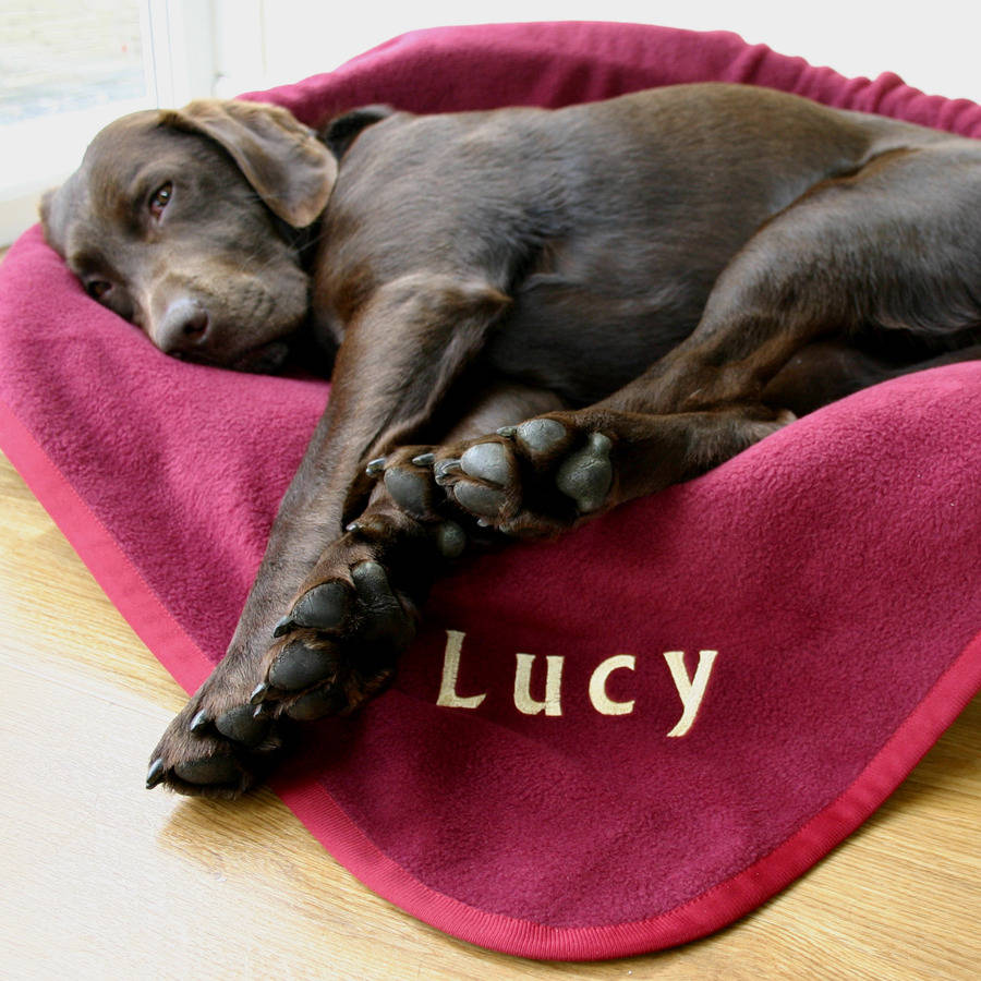 Personalised Embroidered Pet Blanket, 1 of 12