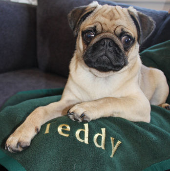 Personalised Embroidered Pet Blanket, 4 of 12