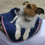Personalised Harlequin Trim Pet Blanket, thumbnail 10 of 12