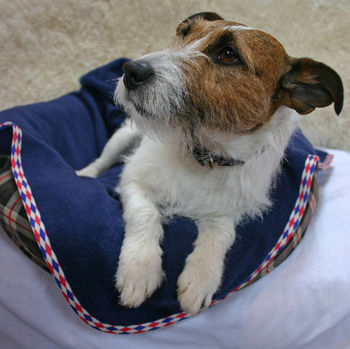 Personalised Harlequin Trim Pet Blanket, 10 of 12