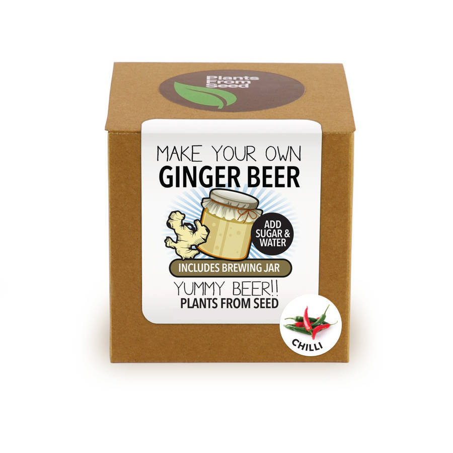 make your own ginger beer with chilli brewing jar kit by plants from seed