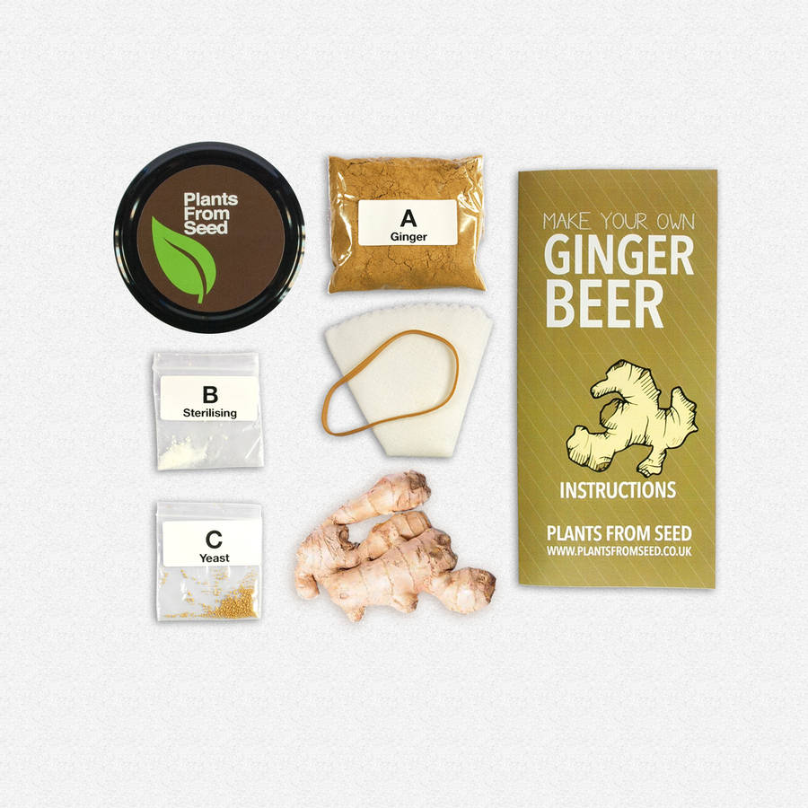 Make your own ginger beer with chilli brewing jar kit by plants from