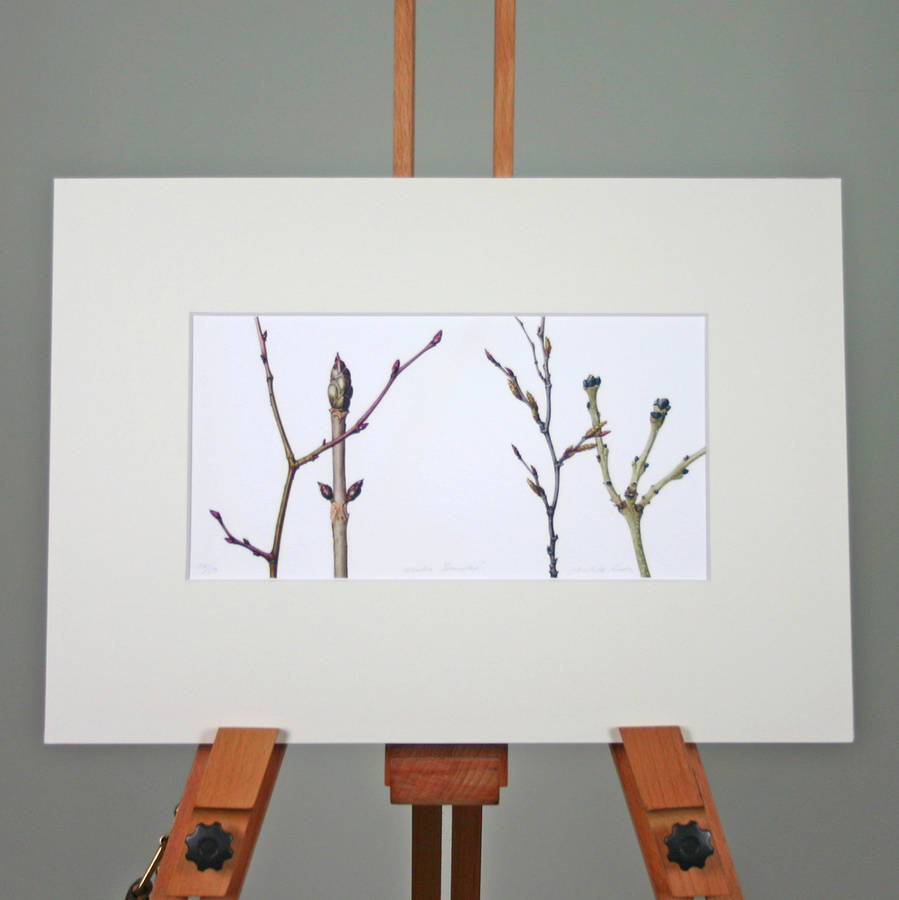 'Winter Branches' Limited Edition Print, 1 of 5