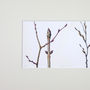 'Winter Branches' Limited Edition Print, thumbnail 4 of 5