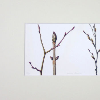 'Winter Branches' Limited Edition Print, 4 of 5