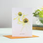 Set Of Six Floral Notecards, thumbnail 1 of 6
