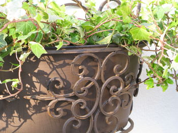 Curved Steel Wall Planter, 3 of 5