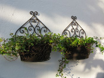 Curved Steel Wall Planter, 5 of 5