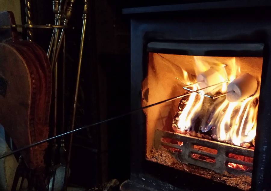 Long Barbecue Marshmallow Toasting Fork By Ella's Kitchen Company Ltd