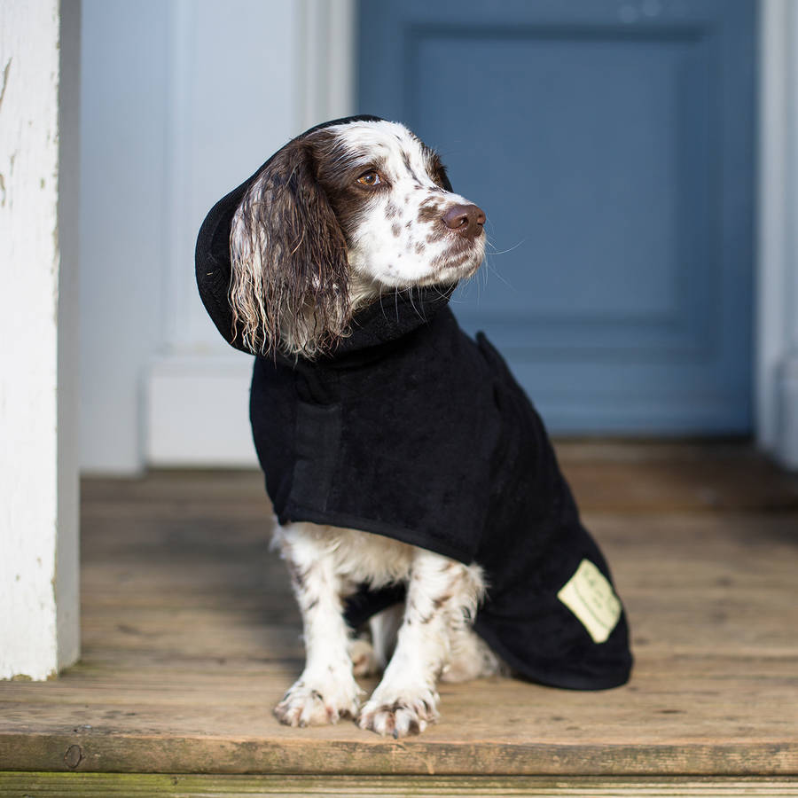 dog drying coat by ruff and tumble