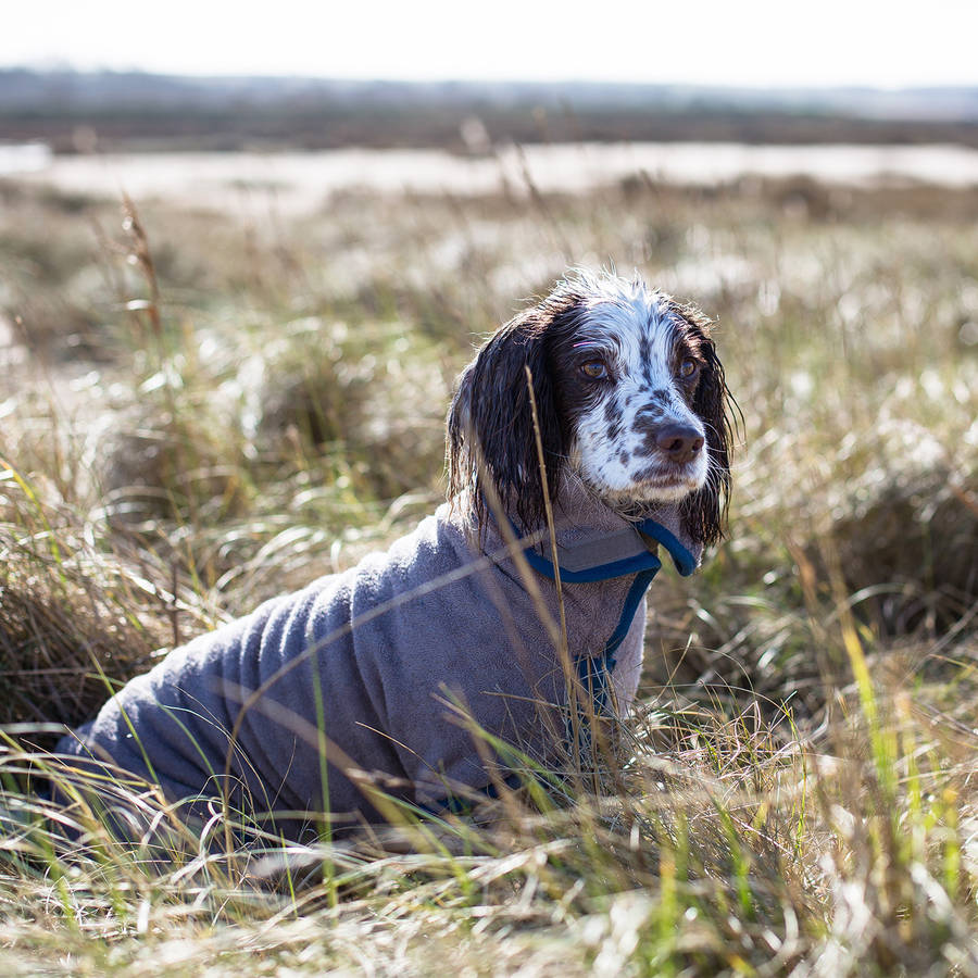 dog drying coat by ruff and tumble