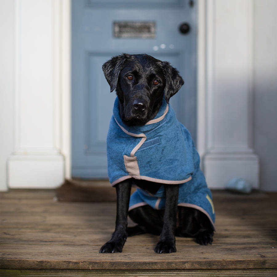 dog drying coat by ruff and tumble