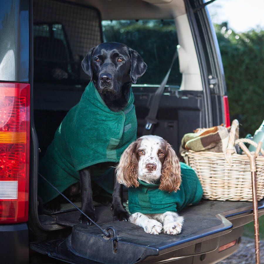 dog drying coat by ruff and tumble