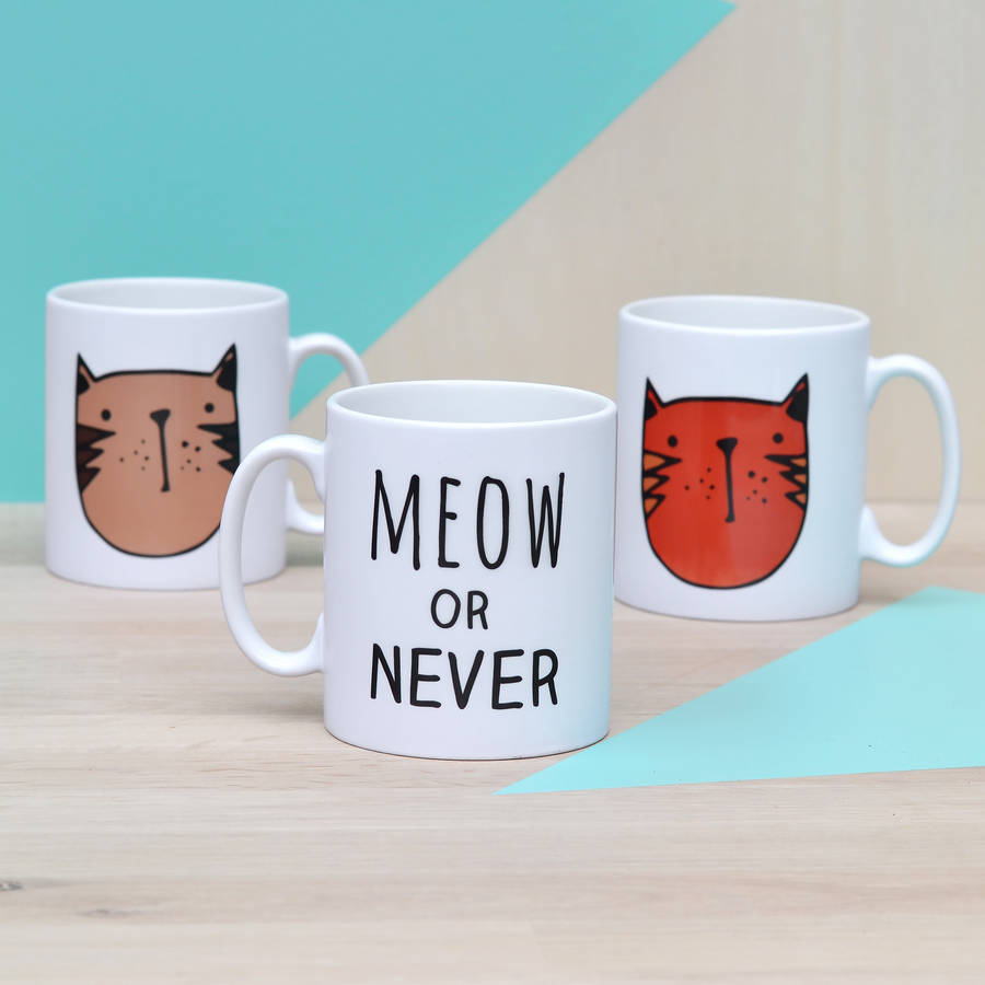 'meow or never' ceramic mug by oakdene designs | notonthehighstreet.com