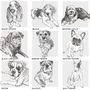 Bespoke Dog Breed Print, thumbnail 5 of 10