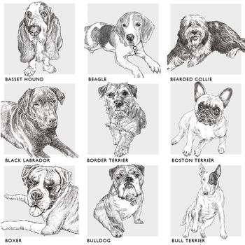 Bespoke Dog Breed Print, 5 of 10