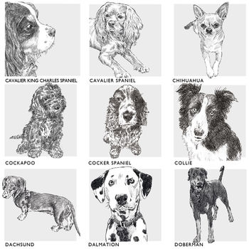 Bespoke Dog Breed Print, 6 of 10