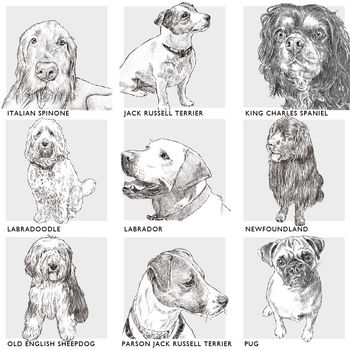 Bespoke Dog Breed Print, 8 of 10