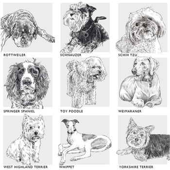 Bespoke Dog Breed Print, 9 of 10