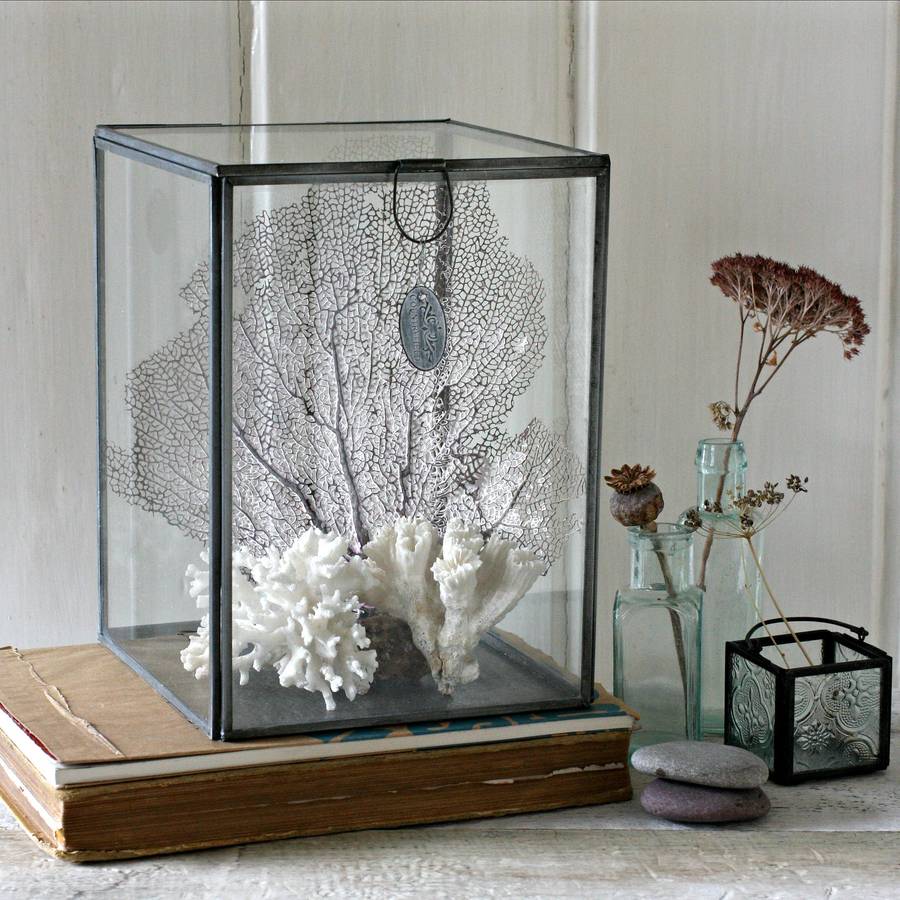 Large Glass Display Box By Magpie Living