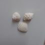 Ceramic Beach Shell Magnets, thumbnail 1 of 5